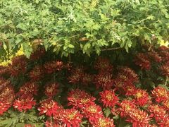 -龙脉温泉室内游泳馆