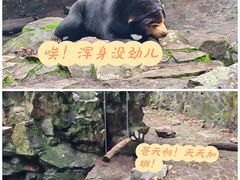 -杭州动物园