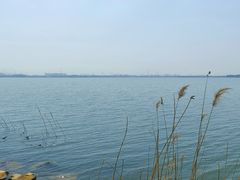 -漕湖湿地公园