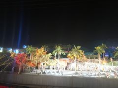 -三亚红色娘子军演艺公园景区
