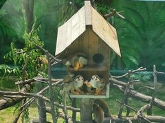 -西霞口神雕山野生动物世界