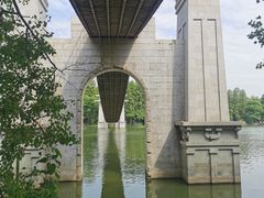 -东湖落雁景区