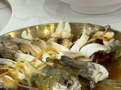 -天鹰观渔(梦园店)