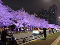 -西北湖绿化广场