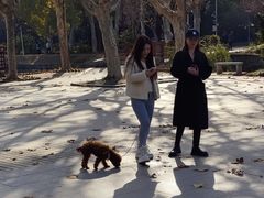 -泰州凤城河风景区-泰山公园