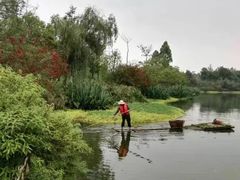 -桤木河湿地公园