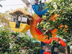 -南宫五洲植物乐园