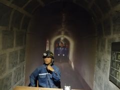 -陕西自然博物馆