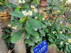 -国家植物园南园