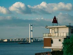-贡湖湾湿地公园