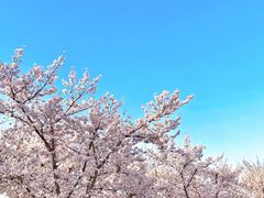 -龙美术馆(西岸馆)
