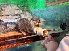 -重庆欢乐海底世界