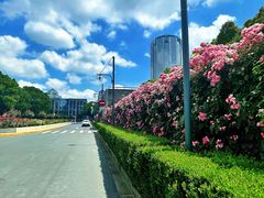 -上海科技馆(地铁站)
