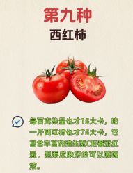 -Fundi张玉珊修身堂·indiba·BTL科技瘦身