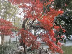 -秋霞圃