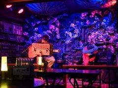 -周庄红庭演艺酒吧