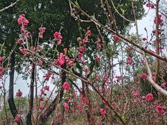 -桃花涧