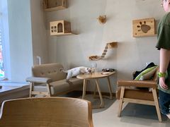 大堂-藏猫猫咖啡主题馆(中央大道店)