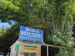 -广州市帽峰山景区