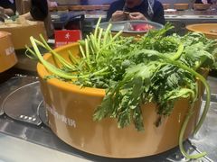 -龍歌自助小火锅(芝罘万达店)