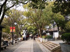 -姑苏秦隆昌(木渎古镇店)