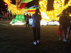 -昆山城市生态森林公园