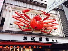 -蟹道乐(道顿堀本店)