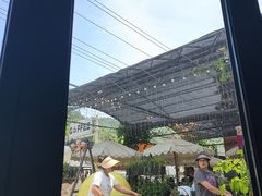 -京北渔家傲