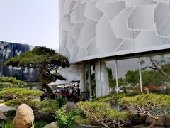 -罗红摄影艺术馆