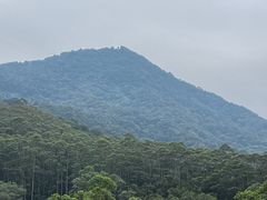 -黄埔油麻山森林公园