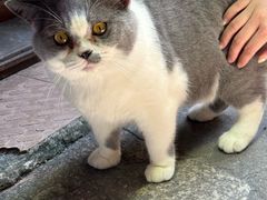 -黄氏祖传百暖凉茶店