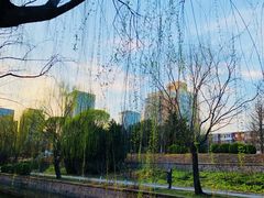 -元大都城垣遗址公园