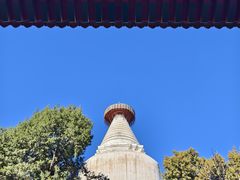 -妙应寺白塔