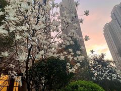 -Me Coffee下午茶艺术空间