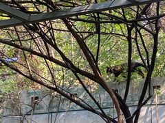 -西安市长乐公园