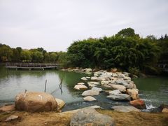 -苏州金鸡湖大酒店