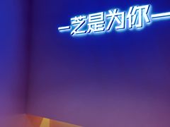 景观位-狐狸和向日葵(北京路店)