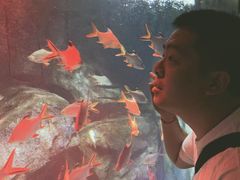 -泉城欧乐堡海洋极地世界