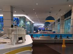 -帝企鹅自助餐厅•儿童岛•真企鹅(长隆企鹅酒店)