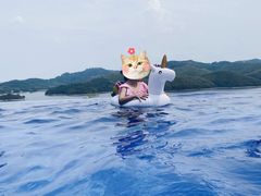 -天目湖涵田半山温泉水乐园