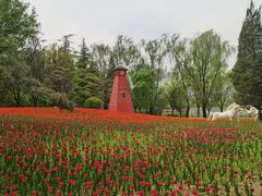 -迎泽公园