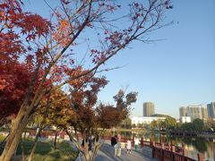 -西海子公园