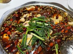 -乡土特色.冷锅鱼.牦牛肉汤锅