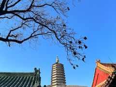 -八大处公园
