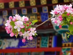 -天坛公园