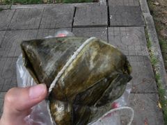 定安蛋黄猪肉粽-阿阳牛腩腌面店
