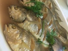 -顺德小院私房菜馆