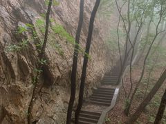 -大连天门山国家森林公园