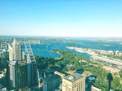 景观位-悉尼塔旋转餐厅