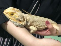 -藦茜花园宠物主题亲子互动体验馆(国顺东路店)